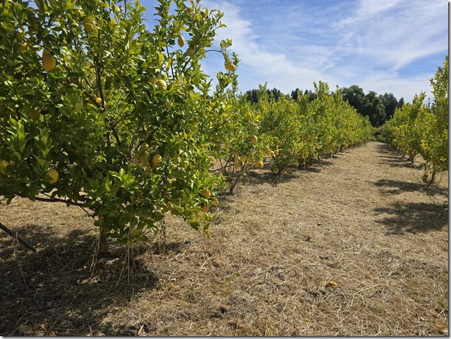 Image No.28-Property for sale