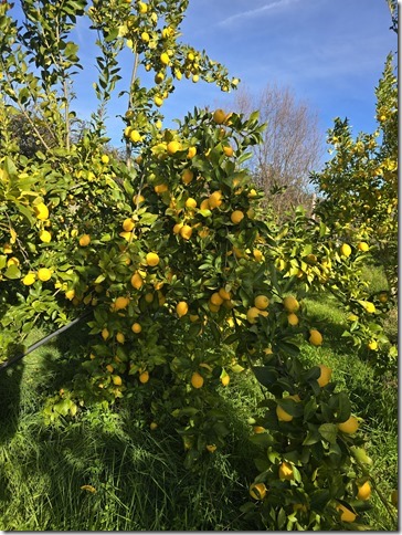 Image No.29-Property for sale