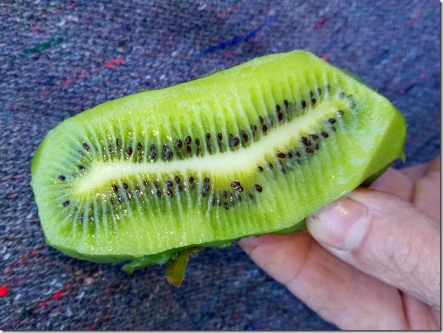 Image No.6-Property for sale