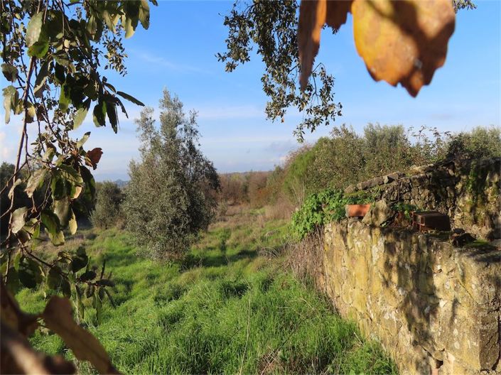 Image No.18-Property for sale