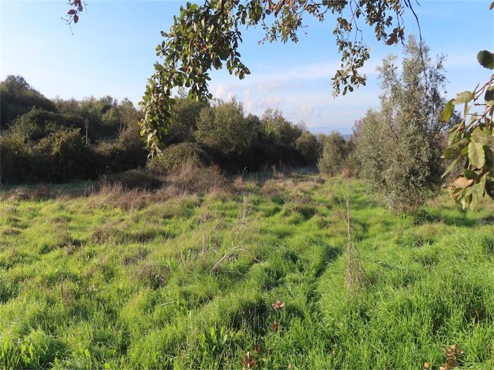 Image No.19-Property for sale