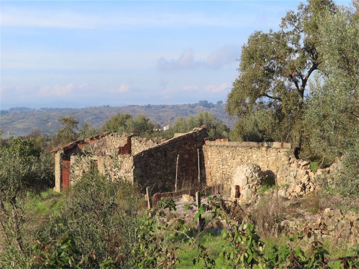 Image No.2-Property for sale