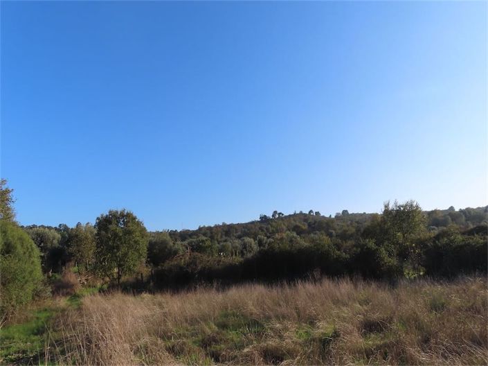 Image No.20-Property for sale