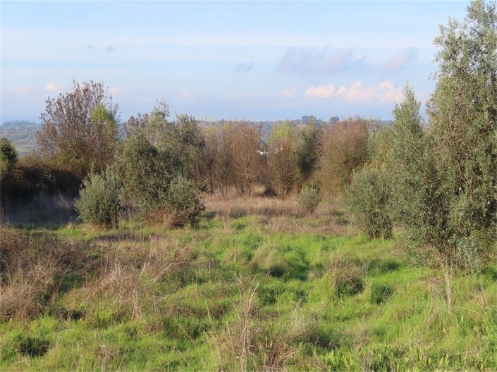 Image No.21-Property for sale