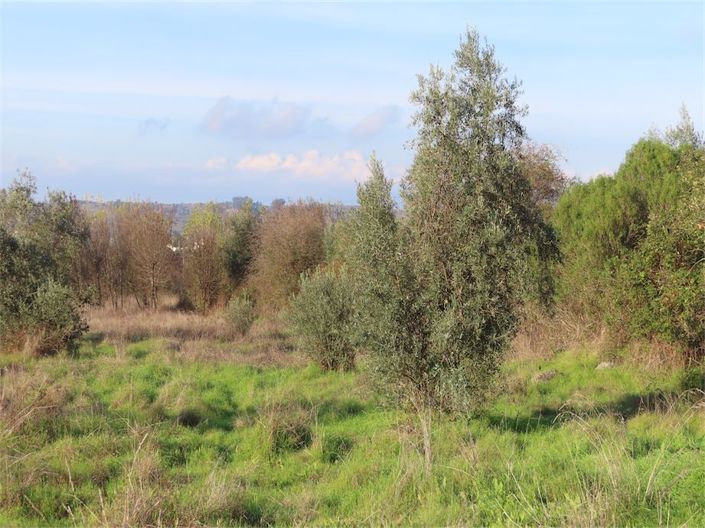 Image No.23-Property for sale