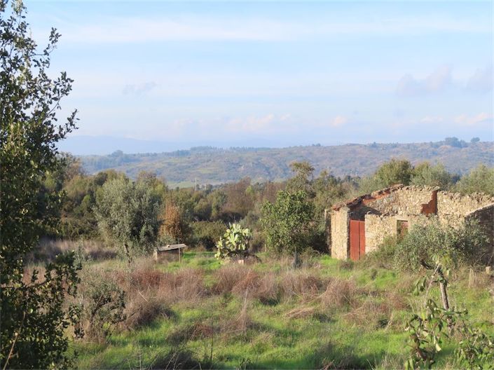 Image No.4-Property for sale