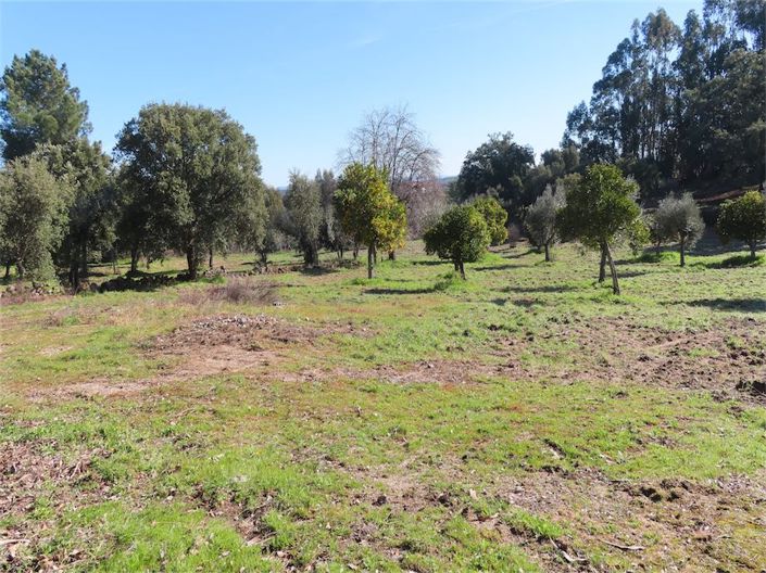 Image No.1-Property for sale