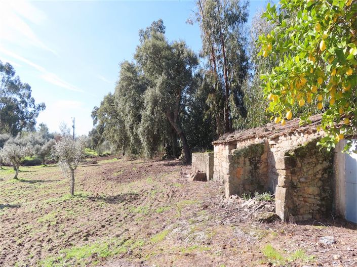 Image No.12-Property for sale