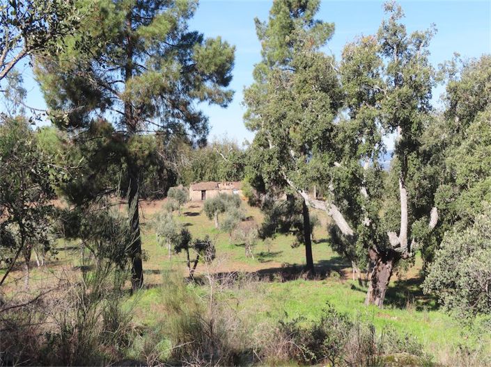 Image No.21-Property for sale