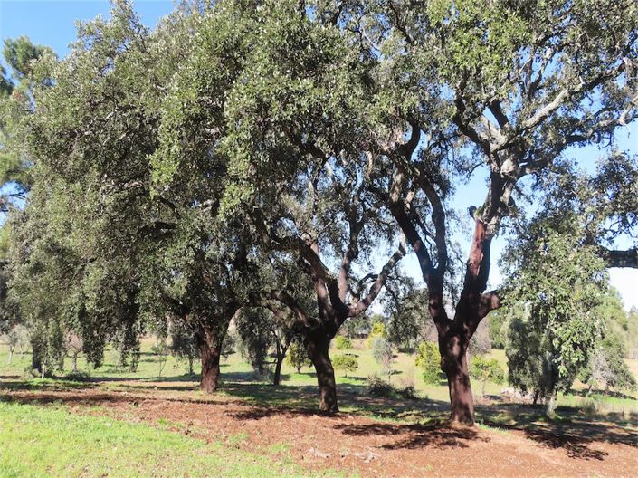 Image No.23-Property for sale