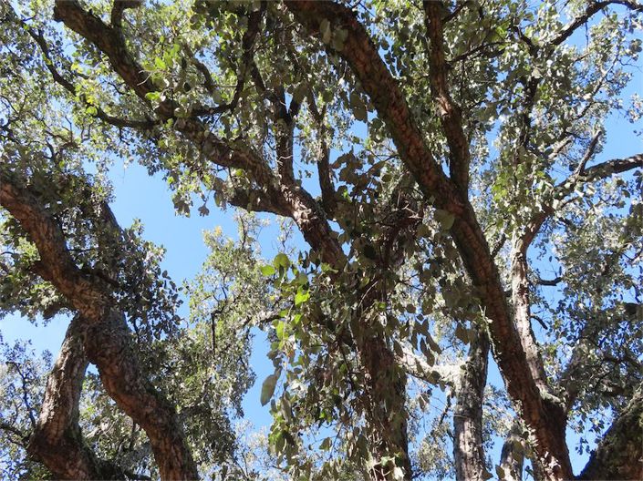 Image No.26-Property for sale