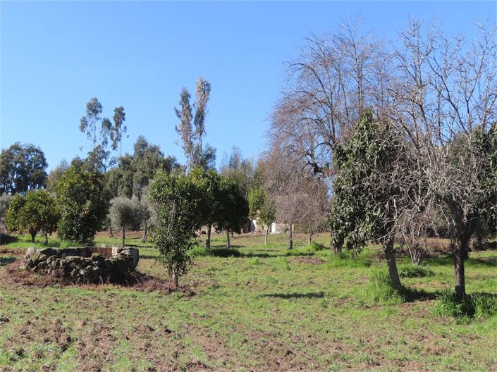 Image No.34-Property for sale