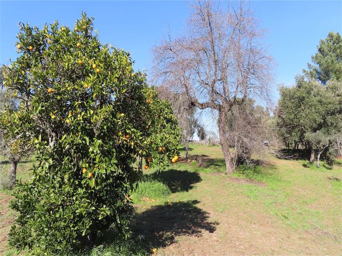 Image No.38-Property for sale