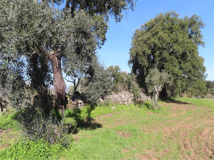 Image No.40-Property for sale