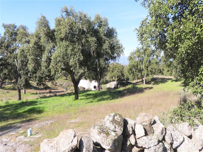 Image No.1-Propriété à vendre à Castelo Branco
