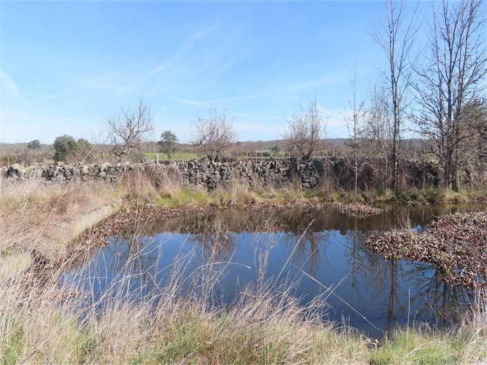 Image No.19-Property for sale