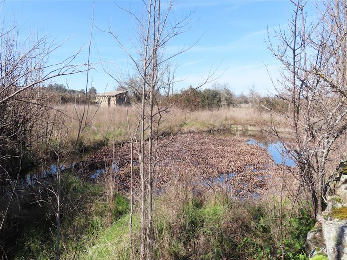 Image No.2-Property for sale