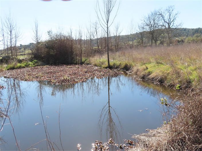 Image No.20-Property for sale