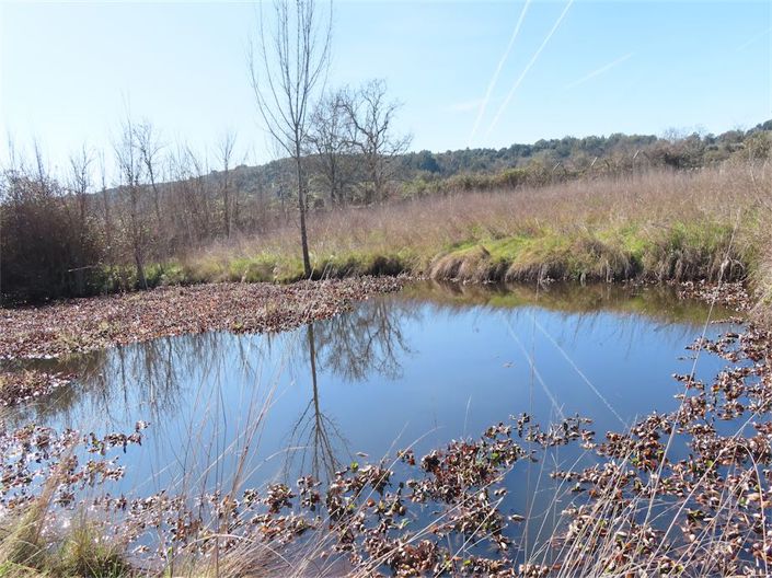 Image No.21-Property for sale