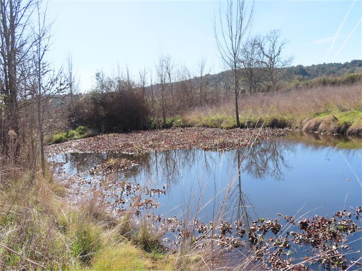 Image No.22-Property for sale