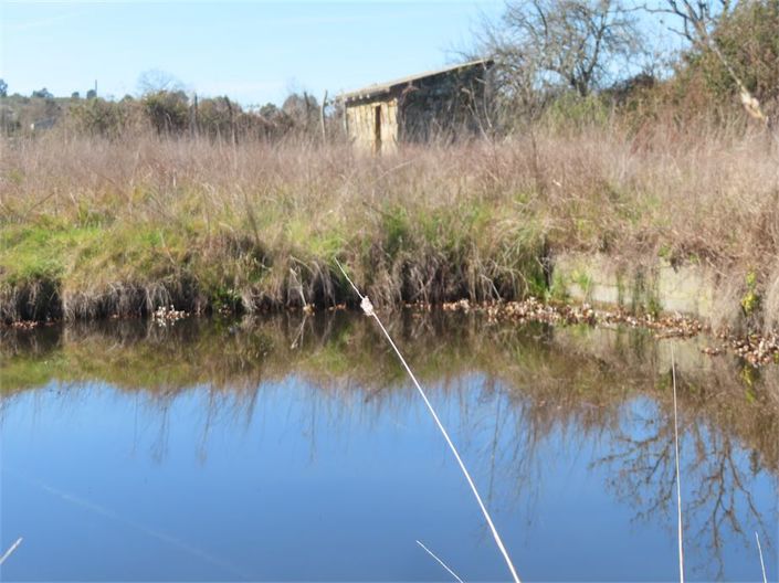 Image No.23-Property for sale