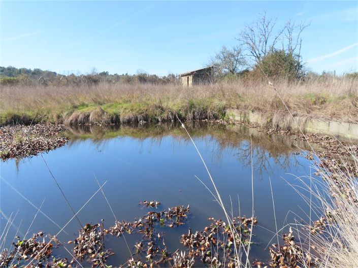 Image No.24-Property for sale