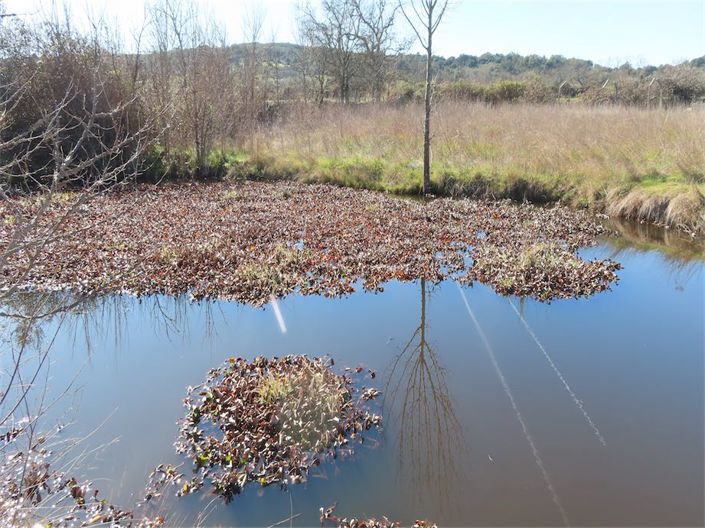 Image No.26-Property for sale