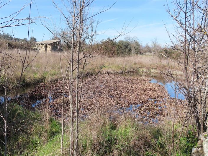 Image No.3-Property for sale