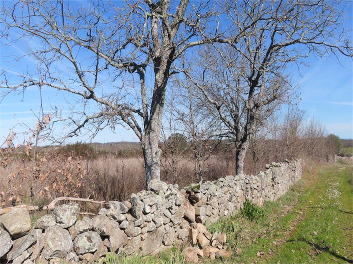 Image No.5-Property for sale