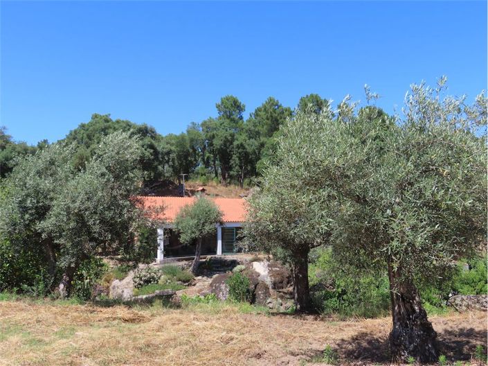 Castelo Branco, Property