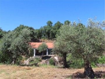 Properties in Portugal most sold property