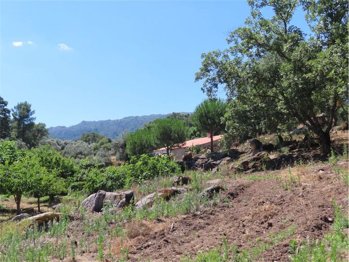 Image No.13-Property for sale