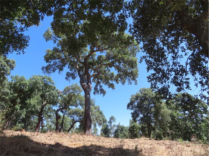 Image No.19-Property for sale