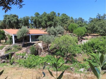 Properties in Portugal most sold property