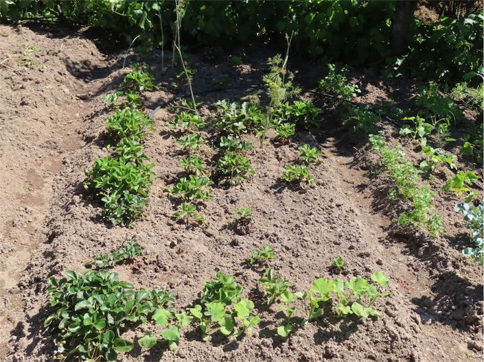 Image No.38-Property for sale