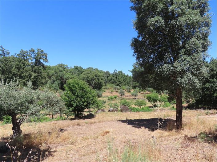 Image No.4-Property for sale