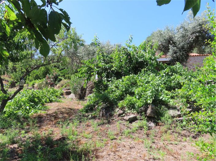 Image No.40-Property for sale