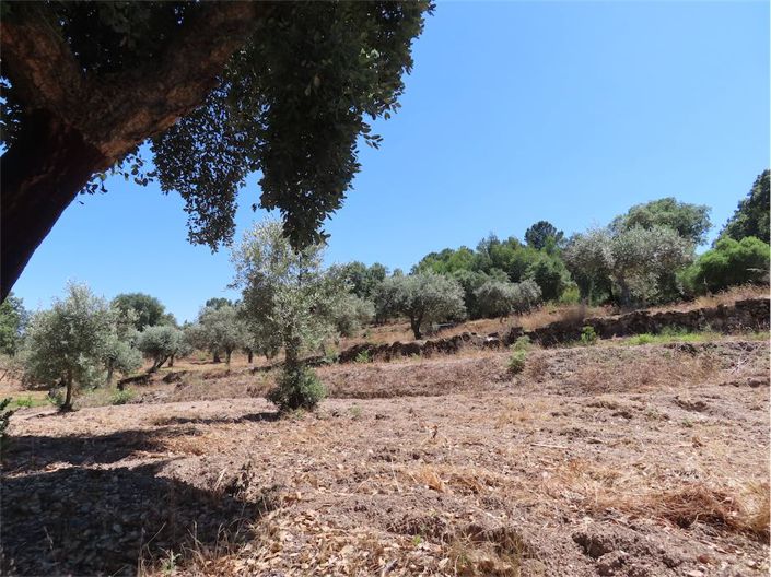 Image No.48-Property for sale