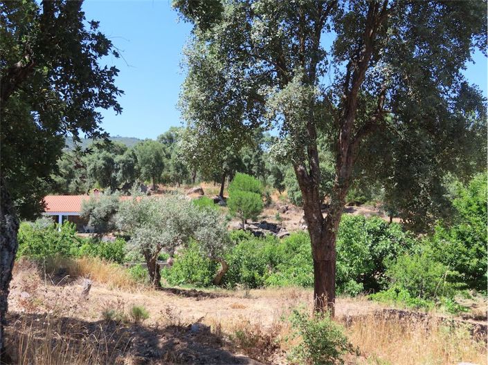 Image No.5-Property for sale