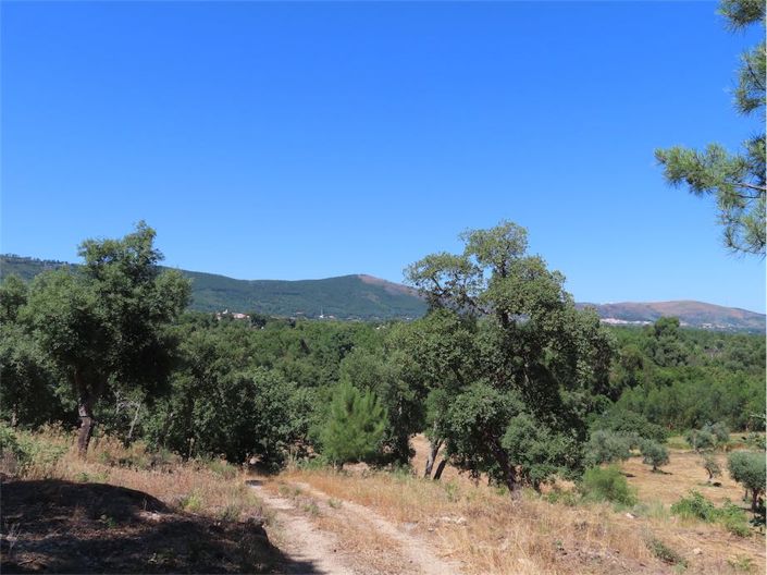 Image No.50-Property for sale