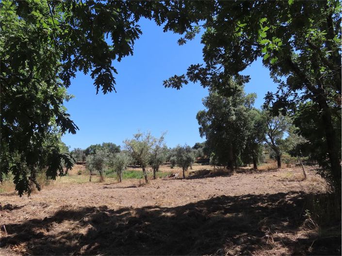 Image No.8-Property for sale