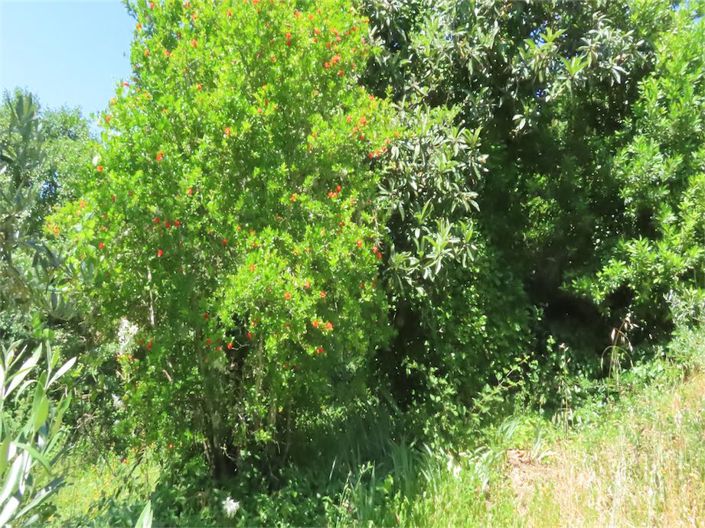 Image No.10-Property for sale