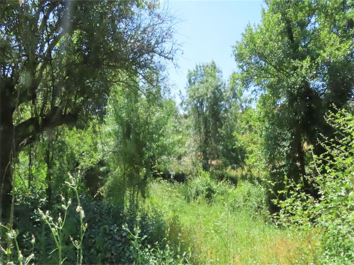 Image No.11-Property for sale