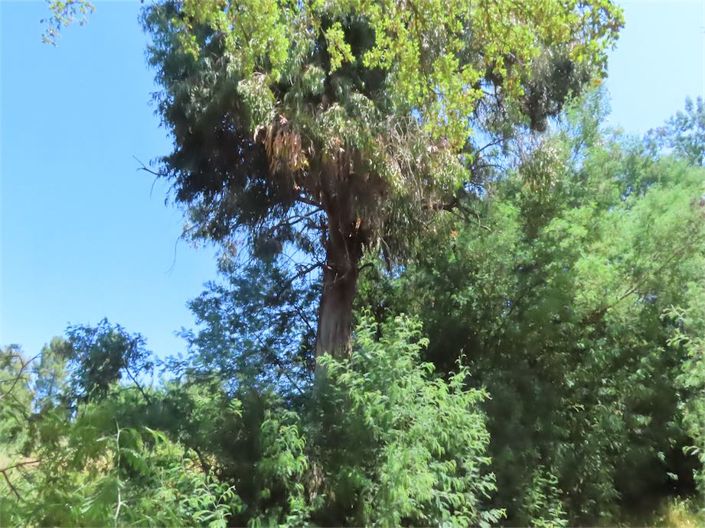 Image No.19-Property for sale