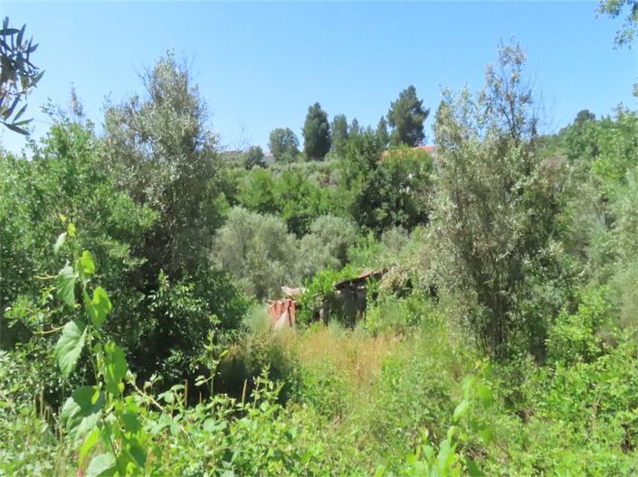 Image No.3-Property for sale