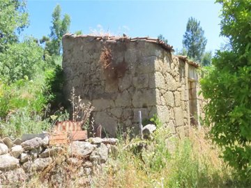 img6900