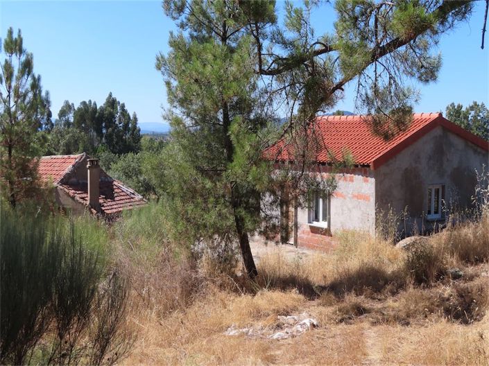 Castelo Branco, Property