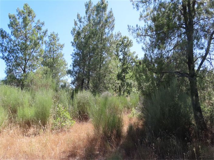 Image No.1-Property for sale
