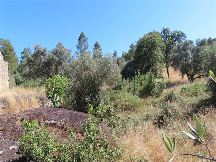 Image No.23-Property for sale