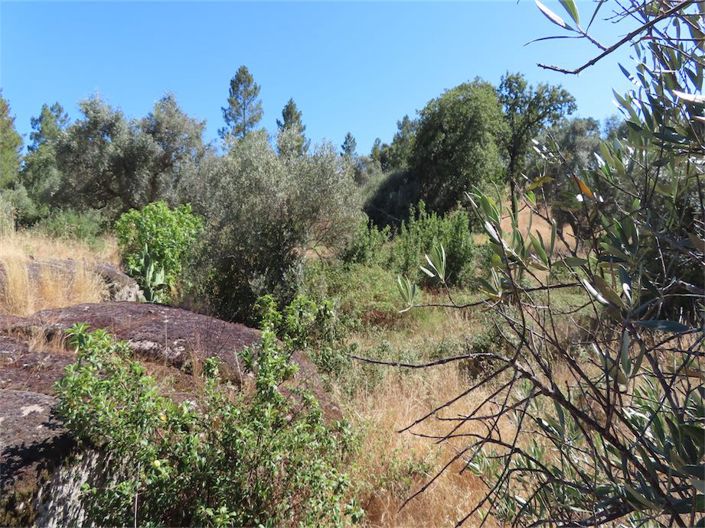 Image No.25-Property for sale